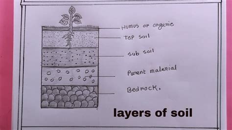 How To Draw Layers Of Soil Easily Step By Step Amazing Arts