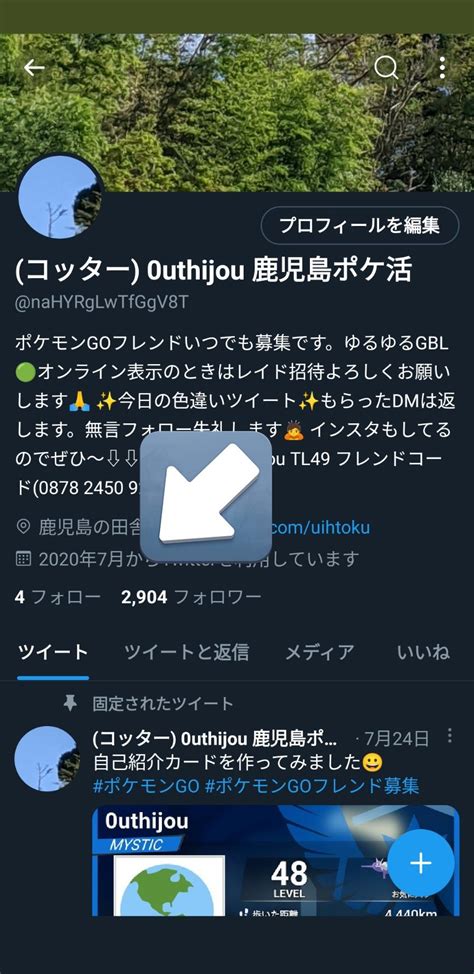 コッター 0uthijou 鹿児島ポケ活 On Twitter 突然フォローが4人になりました💦💦 原因わかる方教えてくれ💦