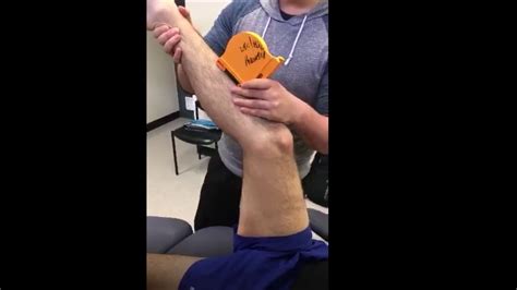 Popliteal Angle How To Measure