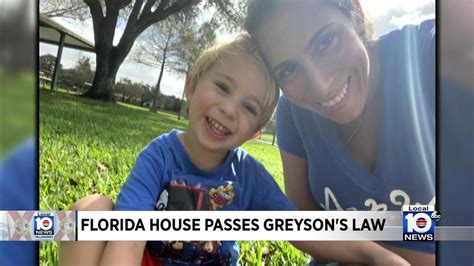 Florida House Of Representatives Unanimously Passes Greysons Law Youtube