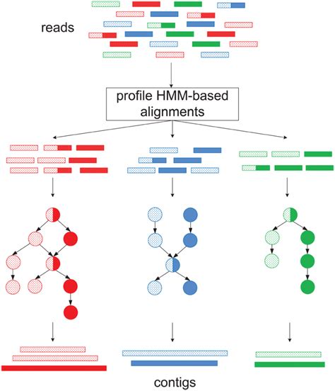 Sat Assembler A Scalable And Accurate Targeted Gene Assembly Tool For