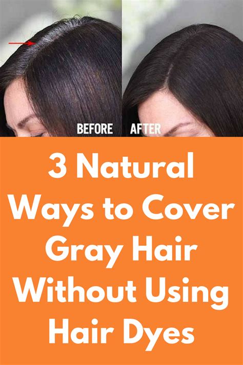 3 Natural Ways To Cover Gray Hair Without Using Hair Dyes Covering