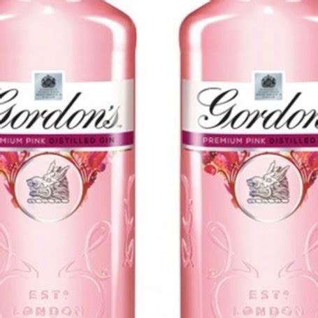 Aldi is launching pink gin just in time for Christmas - Red Online