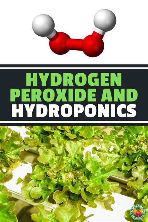 Hydrogen Peroxide H O And Hydroponics Epic Gardening Hydroponics