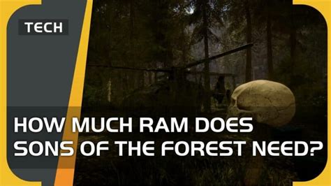 Sons Of The Forest Keeps Crashing How To Fix Videogamer