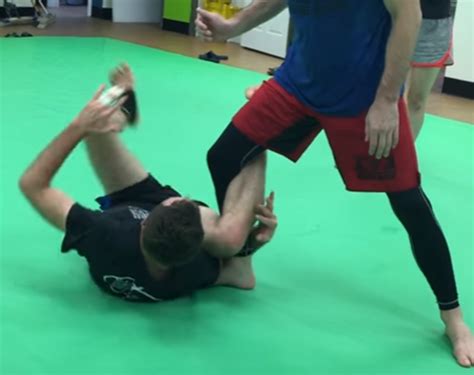 Reverse De La Riva Guard Sweeps For No Gi Brazilian Jiu Jitsu Hubpages