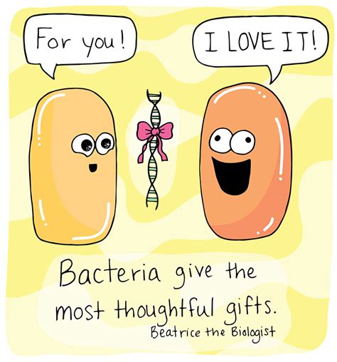 Bacterial Ts Beatrice The Biologist Biology Humor Fun Science