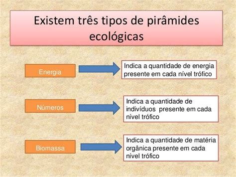 Piramide Ecologica De Numero - Fluxo de energia e pirâmides ecológicas