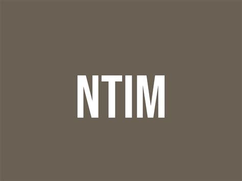 ntim  meaning    fluentslang