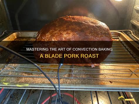 Mastering The Art Of Convection Baking A Blade Pork Roast Shungrill