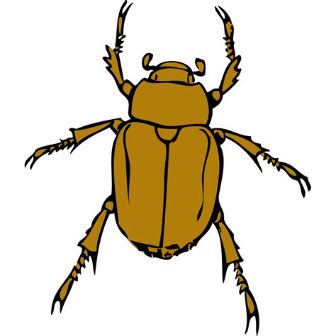 Beetle Bug Png Svg Clip Art For Web Download Clip Art Png Icon Arts