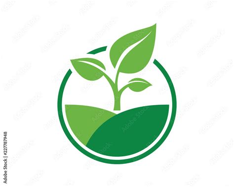 Vector Circle Green Leaf Growing Plant Modern Agriculture Sign Symbol