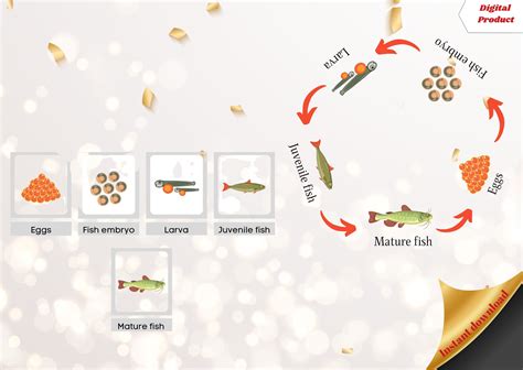 FISH LIFE CYCLE Poster & Activity Game Busy Book Activity - Etsy