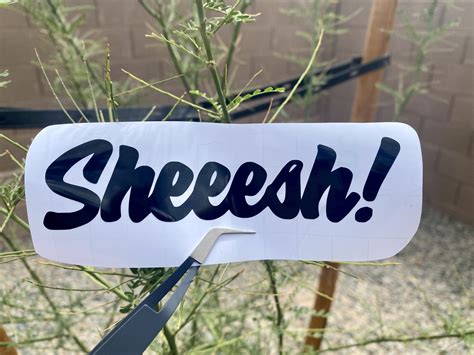 Sheeesh Decal Vinyl Decal Waterproof Sticker Holographic Etsy