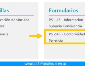 Formulario Ps 6293 Interactivo Tramites Argentinos