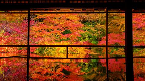 Japan On Twitter Photosofthemonth November Sees Japans Parks