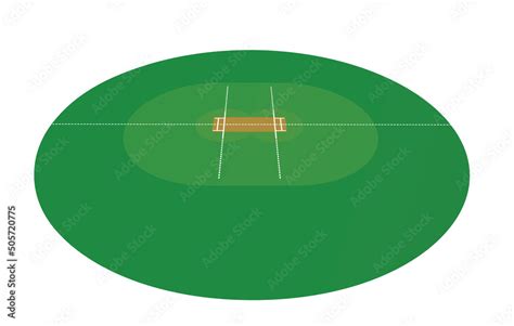 Cricket field isolated. vector illustration Stock Vector | Adobe Stock