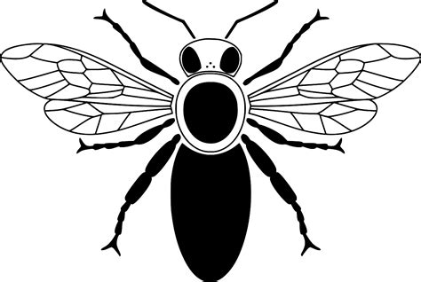 Svg Insect Bee Honey Wings Free Svg Image And Icon Svg Silh