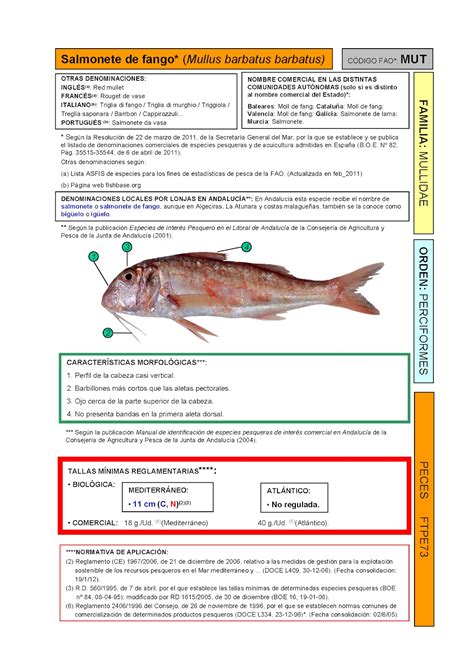 La Cocina De Oliva Manojitos De Salmonetes Fritos