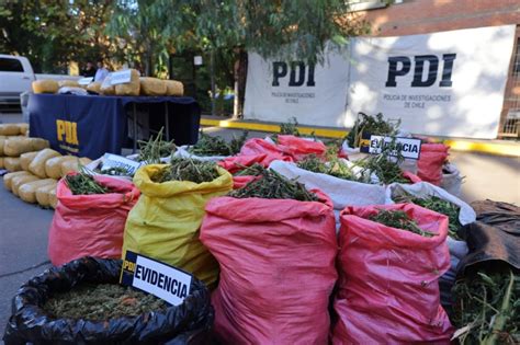 Incautan Más De Mil Millones En Droga Puente Alto Al Día Portal De Noticias