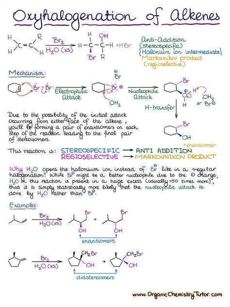 A Complete List Of Reactions Of Alkenes A Must Know List For The