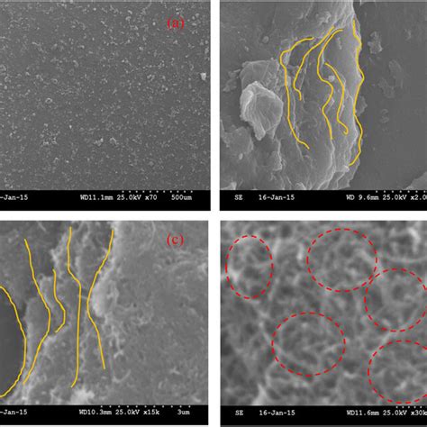 Sem Images Of Self Assembled Nine Double Layer Cntfs A ×70 B ×20