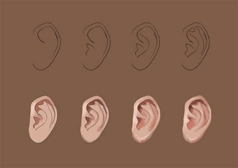 How To Draw An Anime Ear