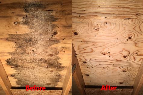 Attic Mold Removal | CleanFirst Restoration