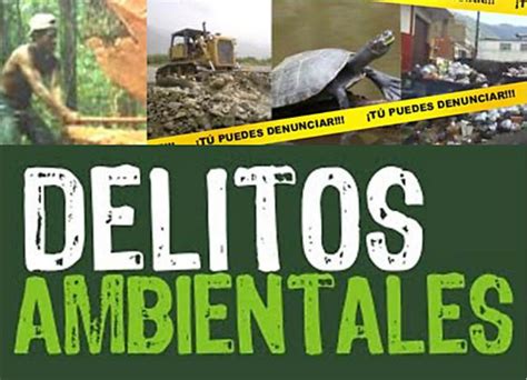 Delitos Ambientales Debemos Defender El Medio Ambiente Como Lo Que Es