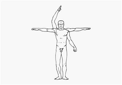 Vitruvian Man Drawing at PaintingValley.com | Explore collection of Vitruvian Man Drawing