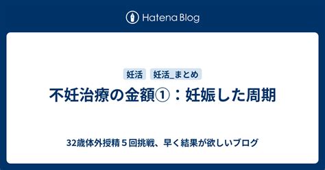 不妊治療の金額①：妊娠した周期 32歳体外授精5回挑戦、早く結果が欲しいブログ