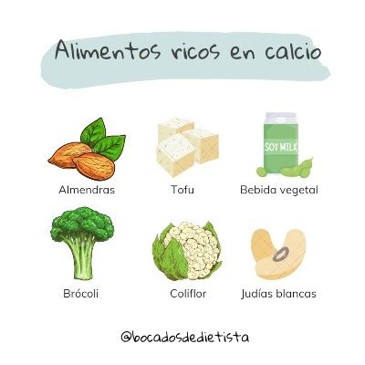 Alimentos de origen vegetal ricos en calcio: el calcio no es sólo leche