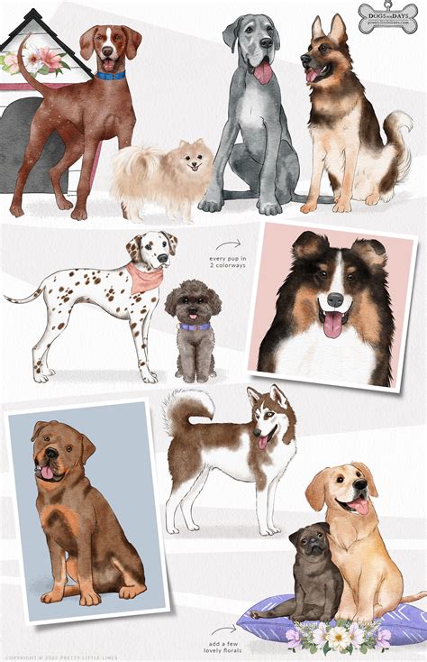 Dogs Fur Days - Dog Illustrations Patterns & Borders - Design Cuts