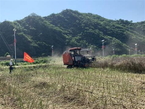 十堰市郧阳区久雨初晴忙农事，农机助力抢种收 农机新闻网