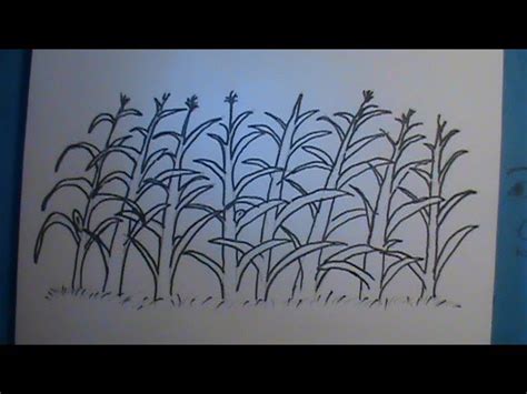 Corn Fields Drawing