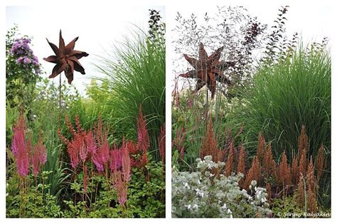 Самые надежные многолетники: первая тройка | Сады и цветы | Дзен