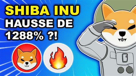 SHIBA INU Vers Les 0 001 Les BURNS Sont ENORMES 1288 DES