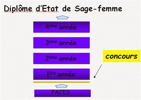 Comment Devenir Sage Femme