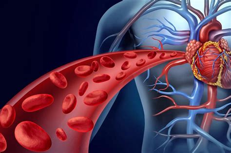 Artificial Blood Vessels Market 2022 Key Insights Current