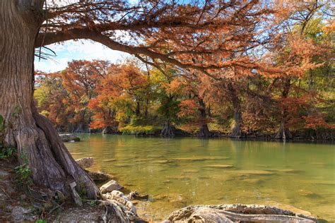 Guadalupe River State Park Map