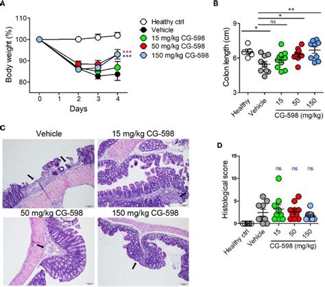 Frontiers Local Stabilization Of Hypoxia Inducible Factor 1α Controls