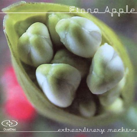 Audio Cd Fiona Apple Extraordinary Machine Hybrid Dualdisc Cd Album