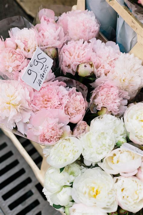 Photo Essays: Springtime in Paris - York Avenue