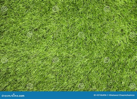 Green Grass Texture Stock Photo Image Of Herb Lush 43746496