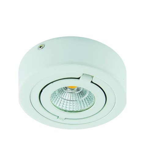 Ceiling Cob Led Luminaire Igor C W White Nw Bulb Lamp Shop Luminaire