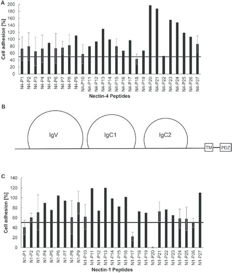 Identification Of Nectin Binding Domains Microtiter Plates Were Coated