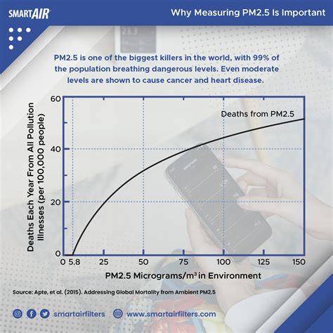 What Does an Air Purifier Do and How Do Air Purifiers Work? – Smart Air