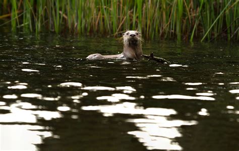 Careers | Ramsey, MN 