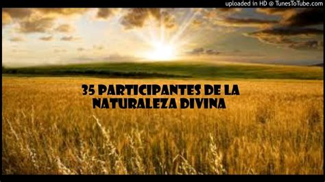 Participantes De La Naturaleza Divina Youtube