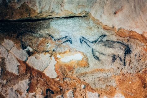 Grotte Cosquer Homo Sapiens Et La Mer Lieues Sous Les